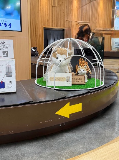 生き物ルーム75