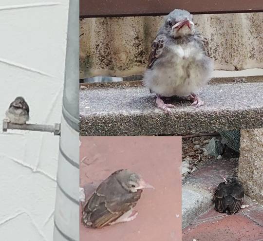 ★ドンキ♡♡ロピア雑談120★