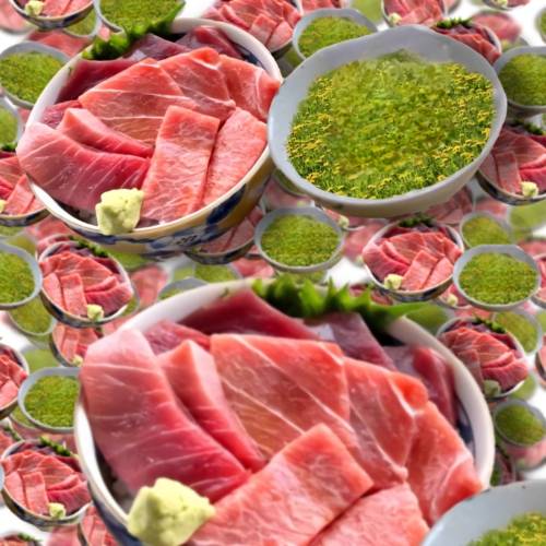 生き物ルーム75