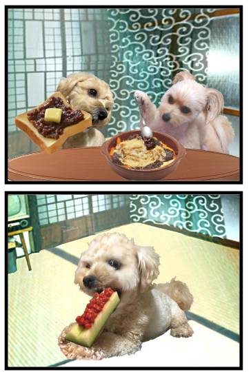 生き物ルーム75