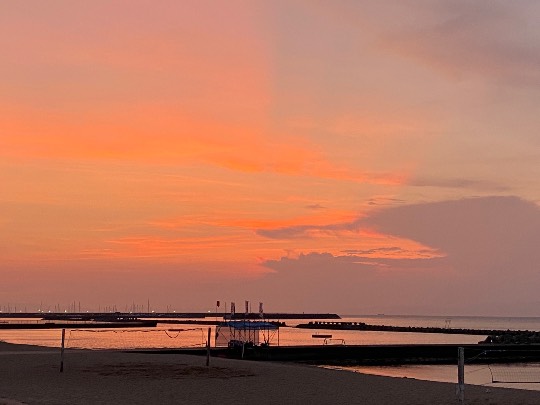 ★ドンキ♡♡ロピア雑談120★