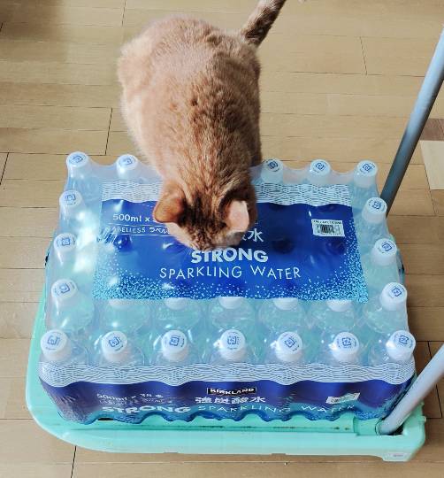 8月22日(金曜日) 　広島倉庫店｜ちょっぴりお久しぶりの投稿(*^^*)
...