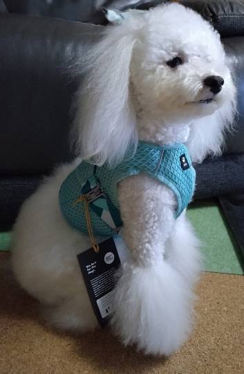 生き物ルーム75