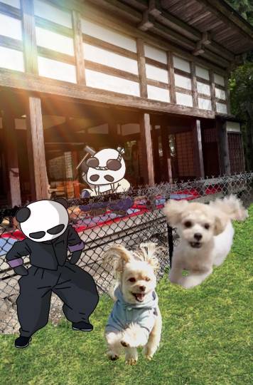 生き物ルーム75