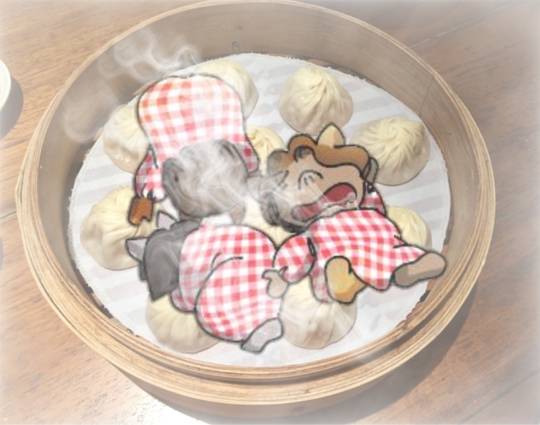 生き物ルーム75