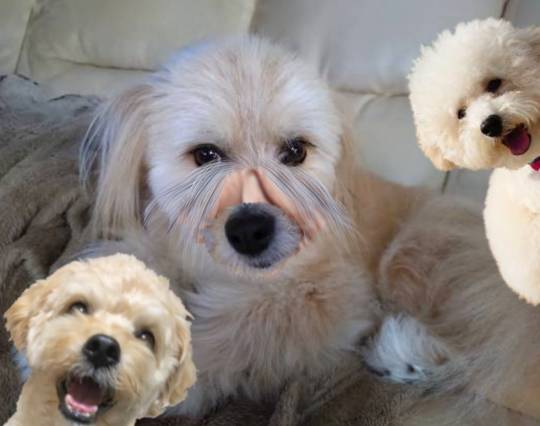 生き物ルーム75