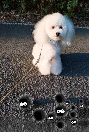 生き物ルーム75