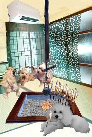 生き物ルーム75