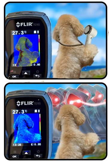 生き物ルーム75