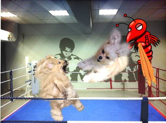 生き物ルーム75