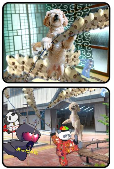 生き物ルーム75