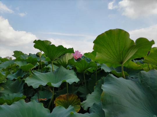 ★ドンキ♡♡ロピア雑談120★