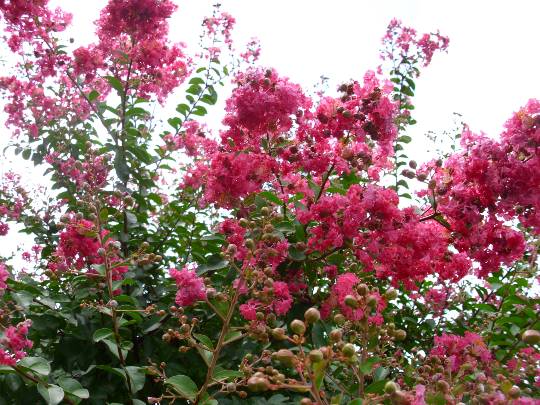 ★ドンキ♡♡ロピア雑談120★