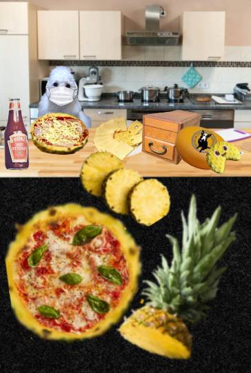 生き物ルーム75