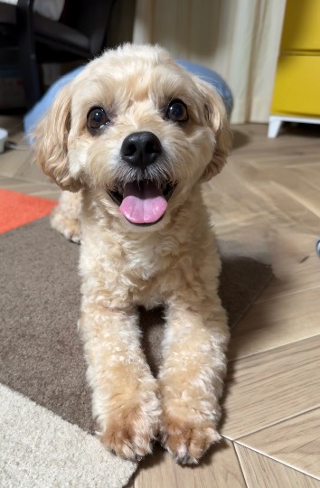 生き物ルーム75