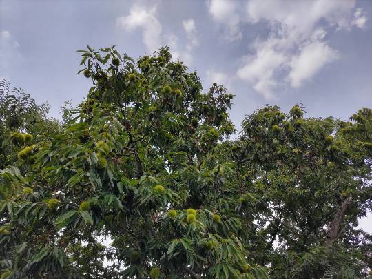 ★ドンキ♡♡ロピア雑談120★