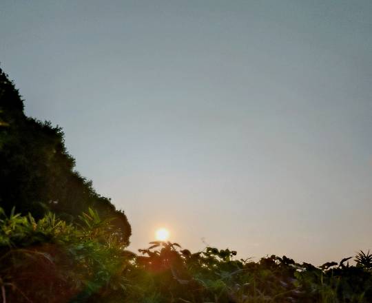 マスク同窓会詰め所兼ニューフェイス歓迎所46ヽ⁠(⁠*ﾟ⁠ｰﾟ⁠*⁠)