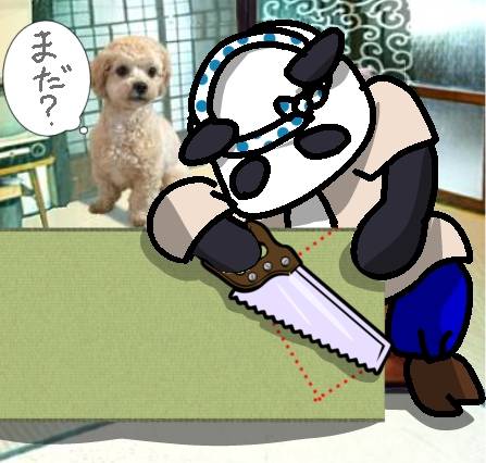 生き物ルーム75