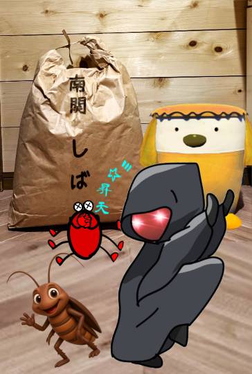 生き物ルーム75