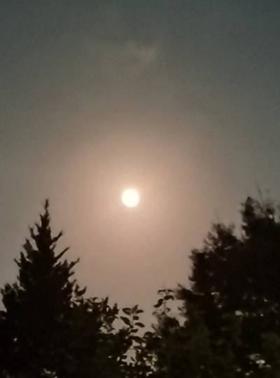 ★ドンキ♡♡ロピア雑談120★