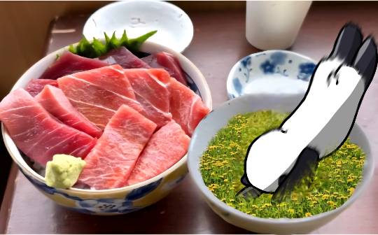 生き物ルーム75