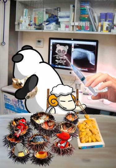 生き物ルーム75