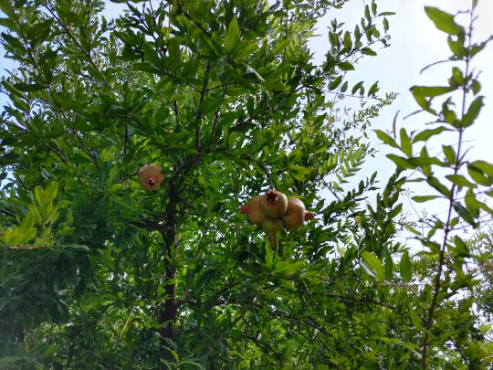 ★ドンキ♡♡ロピア雑談120★