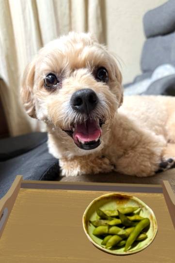 生き物ルーム75