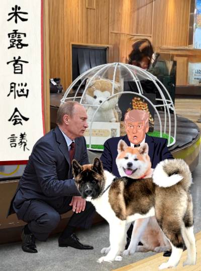 生き物ルーム75