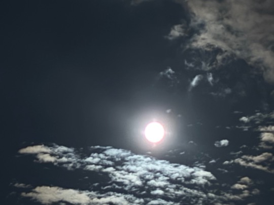 ★ドンキ♡♡ロピア雑談120★