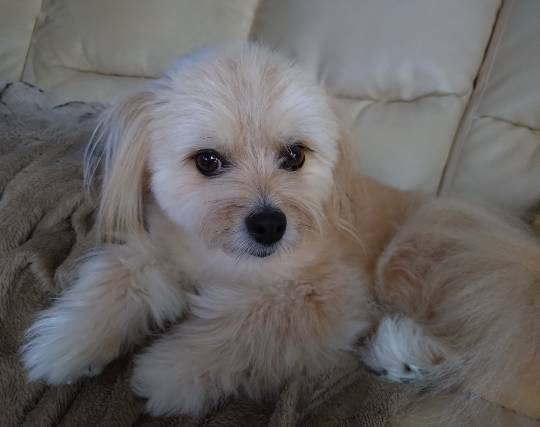 生き物ルーム75