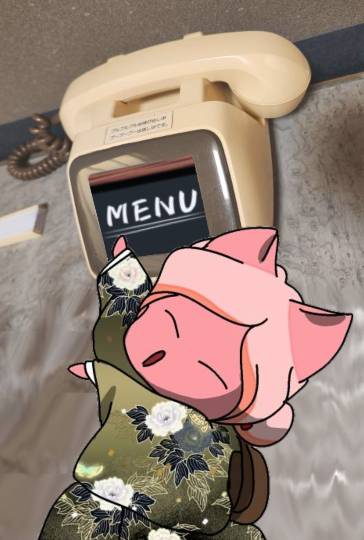 生き物ルーム75