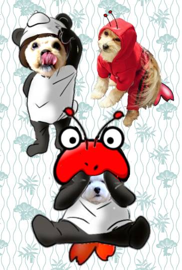 生き物ルーム75