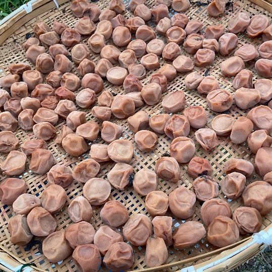 【スナックJINJIN】キッチンカー　いつか来た道　出張営業９