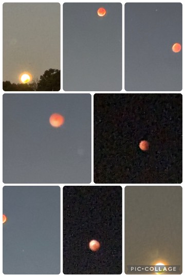 ★ドンキ♡♡ロピア雑談120★