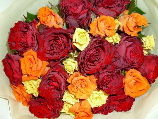 ★ドンキ♡♡ロピア雑談121★