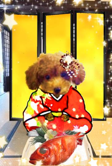 生き物ルーム75