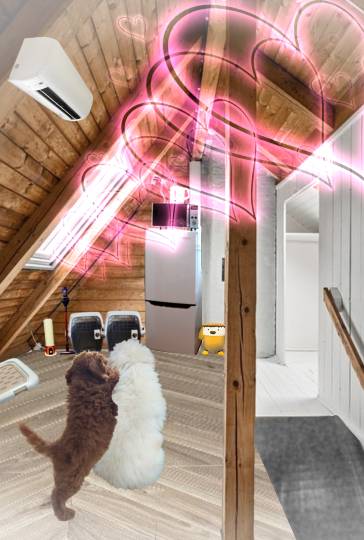 生き物ルーム75