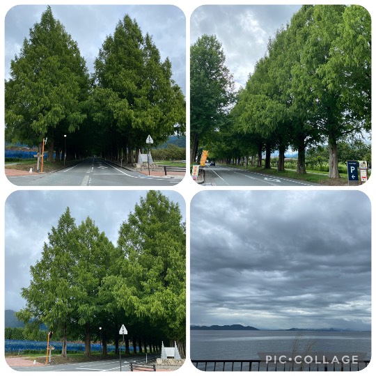 ★ドンキ♡♡ロピア雑談121★