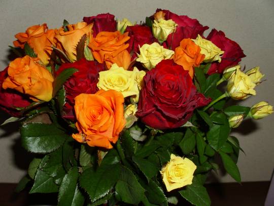 ★ドンキ♡♡ロピア雑談121★