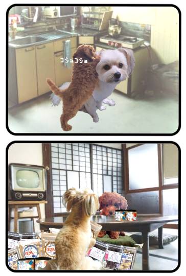 生き物ルーム75