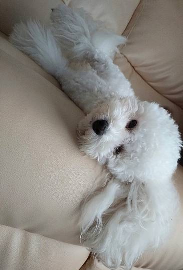 生き物ルーム75