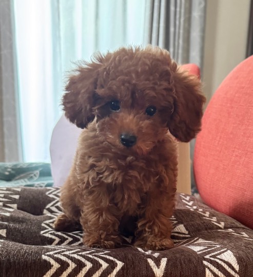 生き物ルーム75