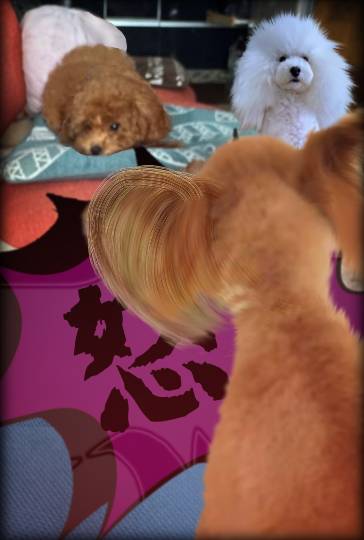 生き物ルーム75