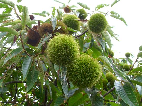 ★ドンキ♡♡ロピア雑談120★