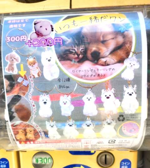 生き物ルーム75