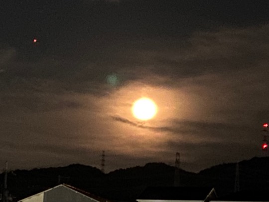 ★ドンキ♡♡ロピア雑談120★