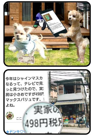 生き物ルーム75