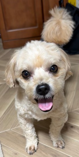 生き物ルーム75