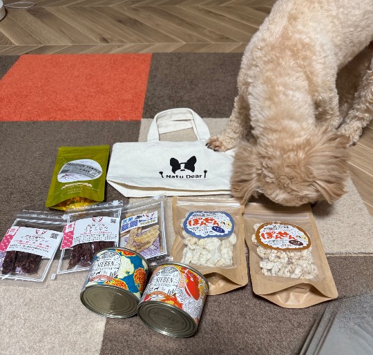 生き物ルーム75